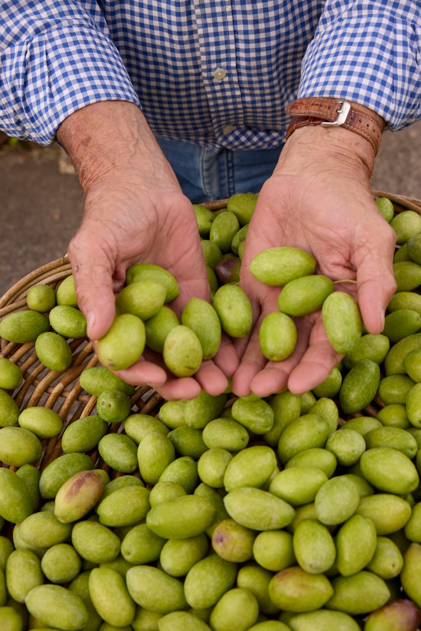 Pangallo Estate Extra Virgin 2L
