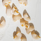Dried Pipette Pasta